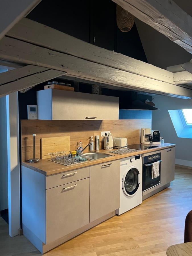 Duplex Atypique Au Coeur De Mulhouse Daire Dış mekan fotoğraf