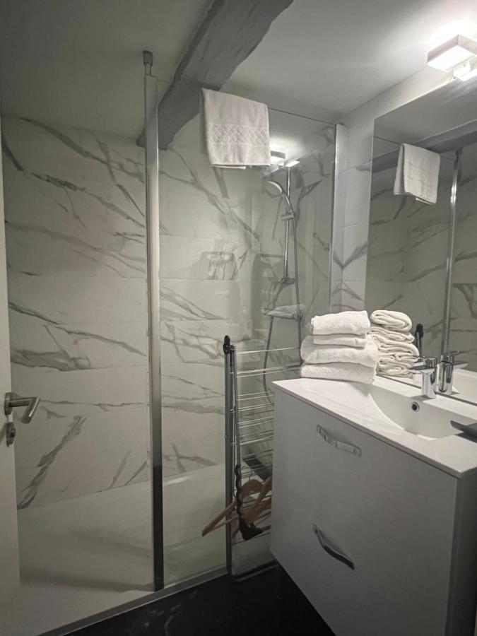 Duplex Atypique Au Coeur De Mulhouse Daire Dış mekan fotoğraf