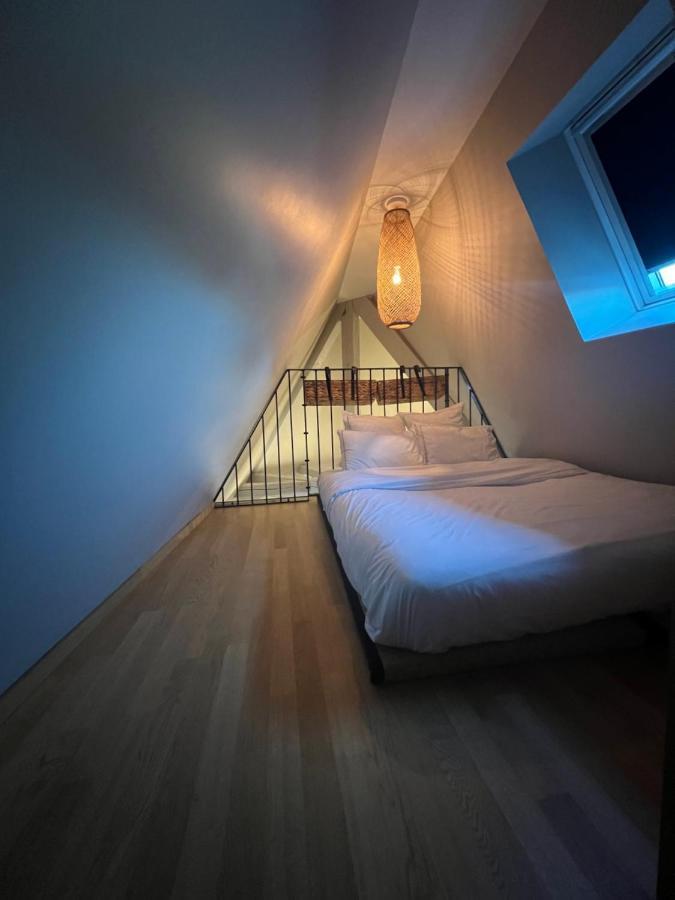 Duplex Atypique Au Coeur De Mulhouse Daire Dış mekan fotoğraf